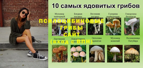 mdma Белоозёрский