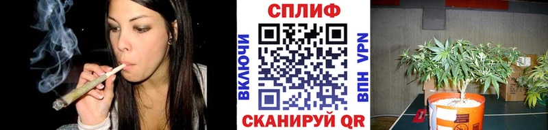 наркотики  Кулебаки  Канабис VHQ 